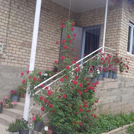 Guest House Kyzyl Alma Arkit 外观 照片
